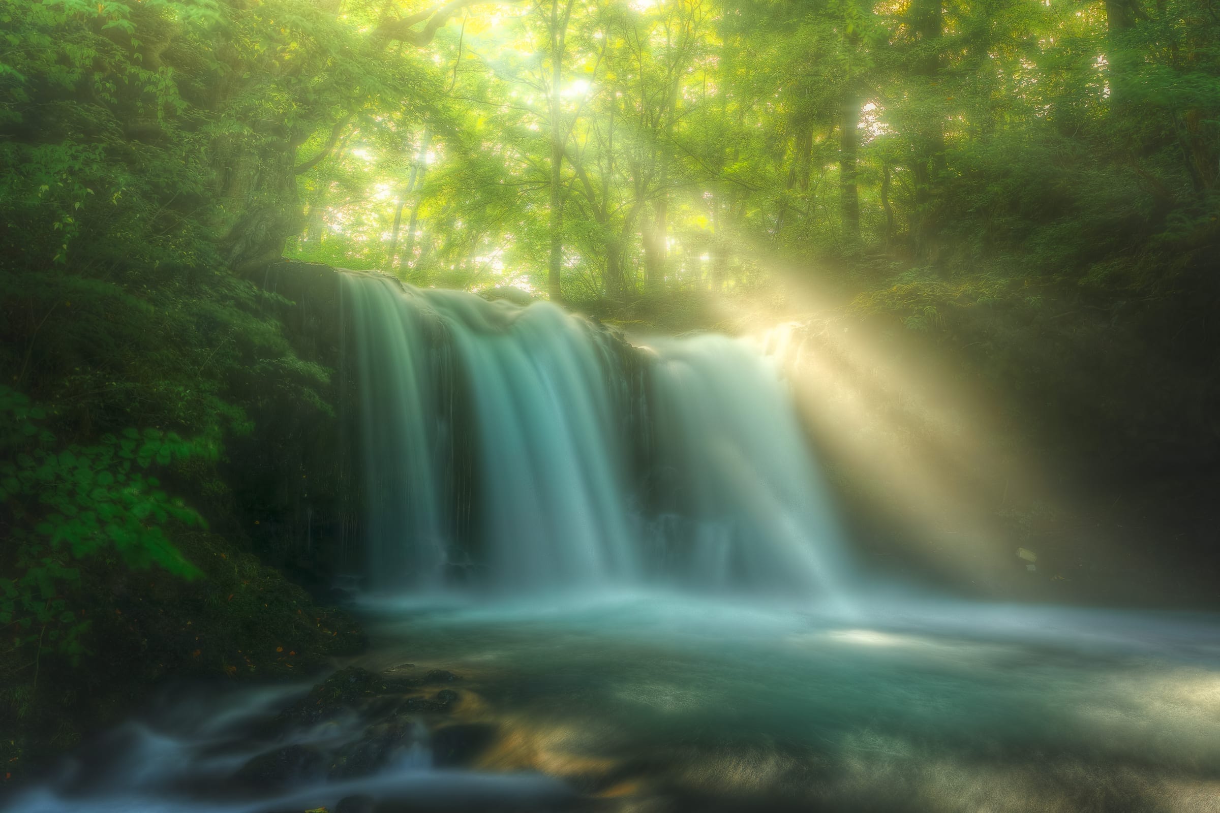Takahiro Hosoe Portfolio 18