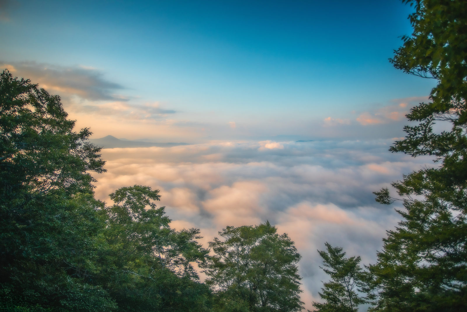 御鼻部山 十和田湖の雲海（御鼻部山展望台・青森県）