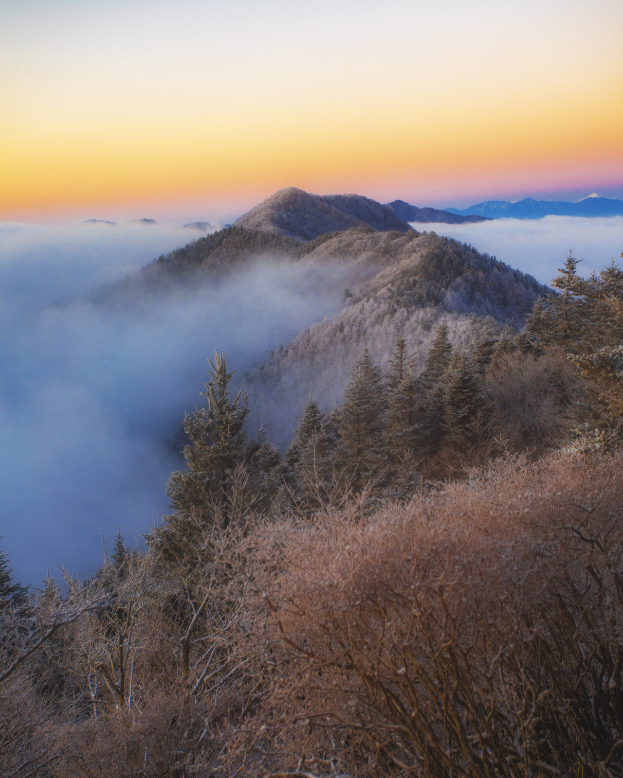 新道峠 夜明けの雲海（新道峠・山梨県）