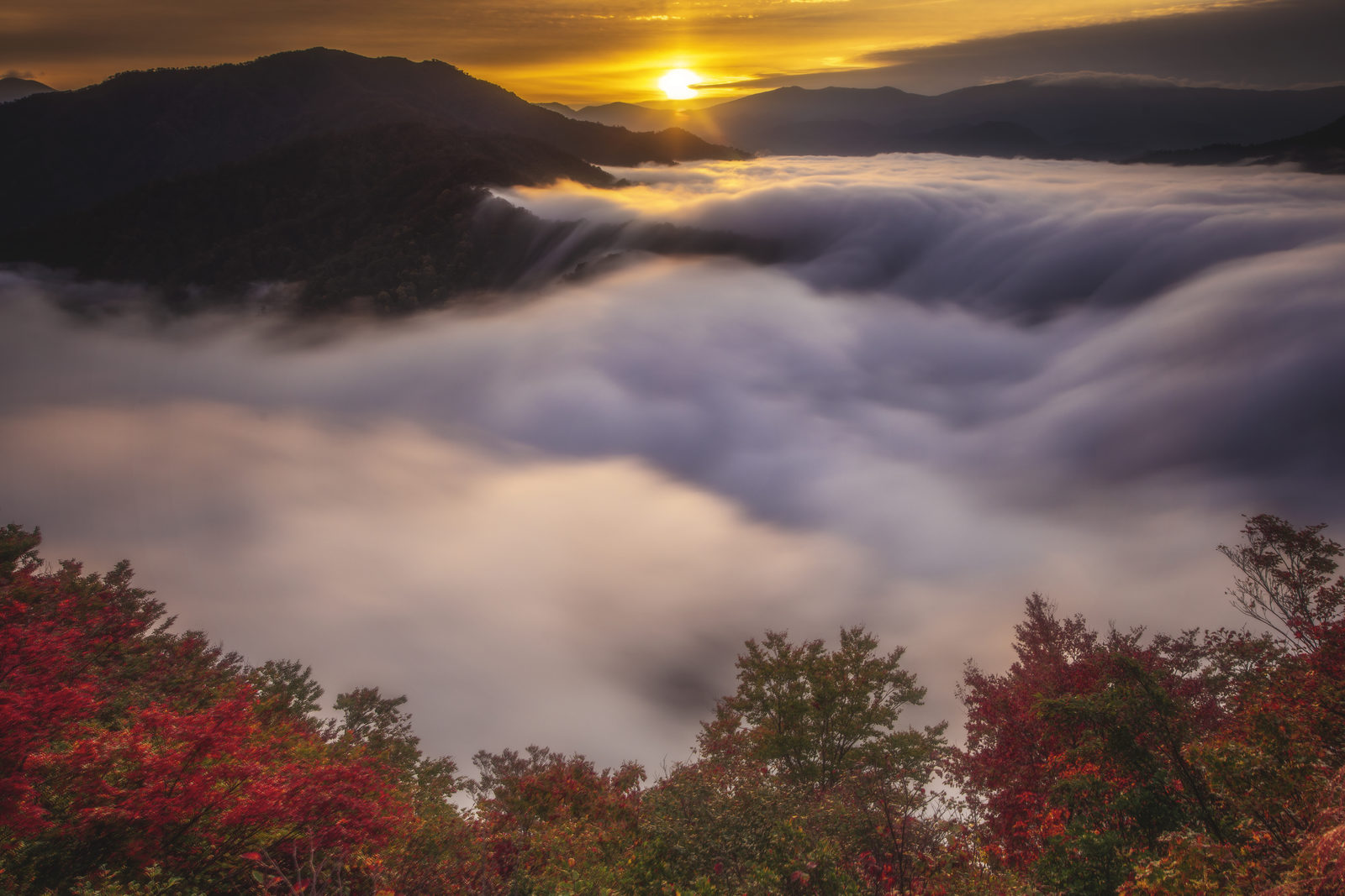 枝折峠の滝雲（枝折峠・新潟県）